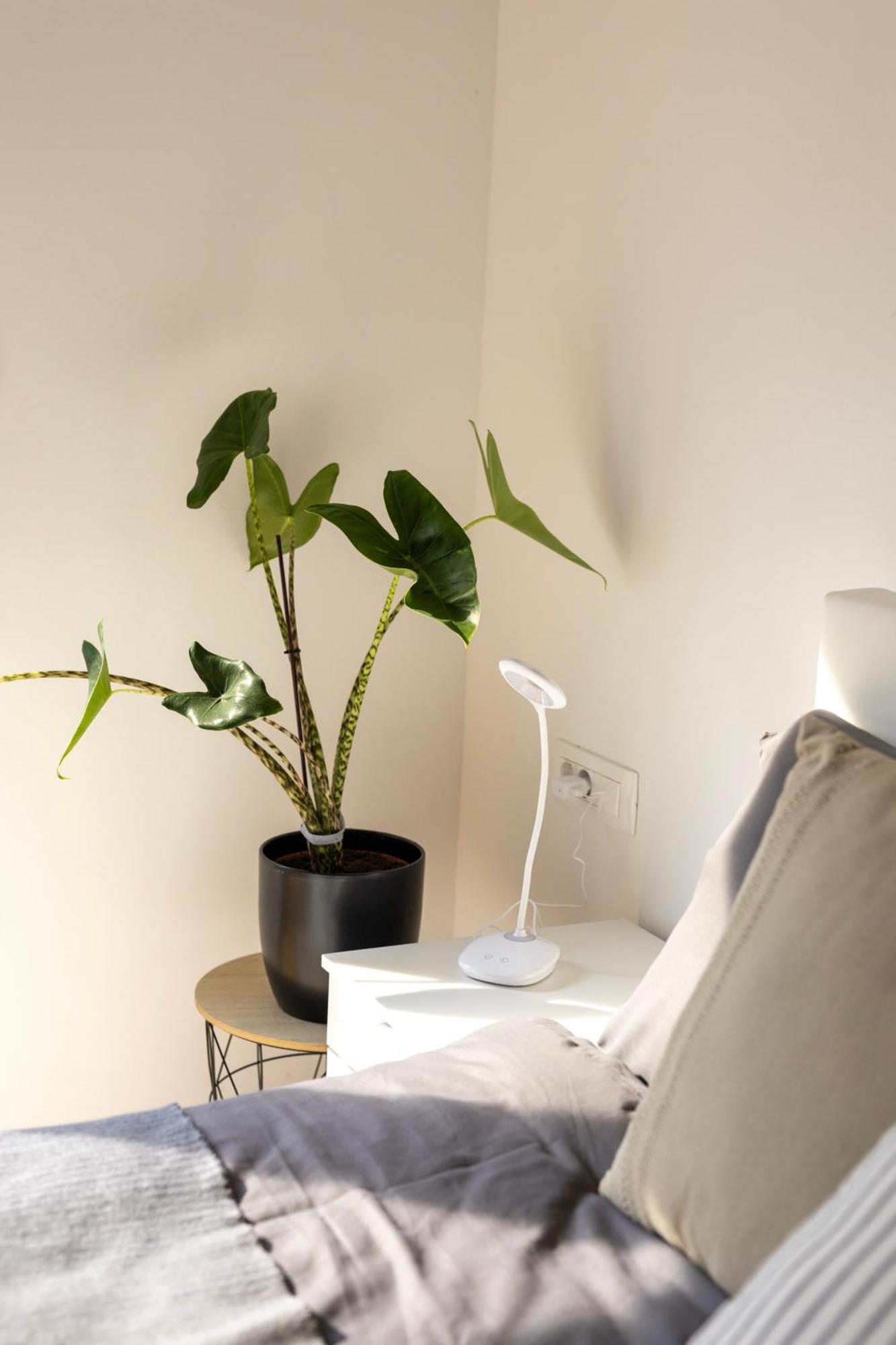 Aura Apartments Жировниця Екстер'єр фото